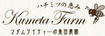 ハチミツの恵み、マダムケティーの粂田農園