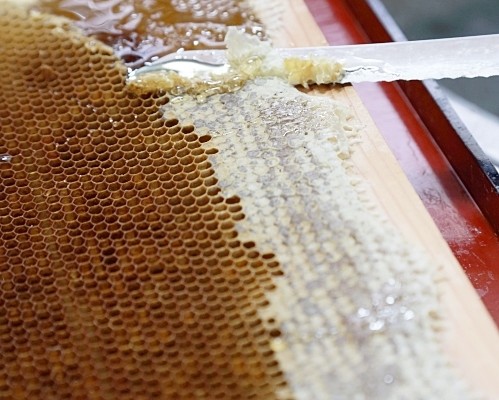 秋に溜めた蜜を冬のミツバチ達に ご馳走するって、どう言う事？