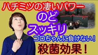 YouTubeの動画をアップしました