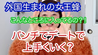 YouTubeアップしました